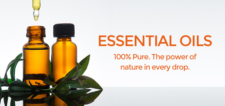 Wintergreen Pure Essential Oil – ECO. Modern Essentials